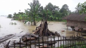 Floods in Assam